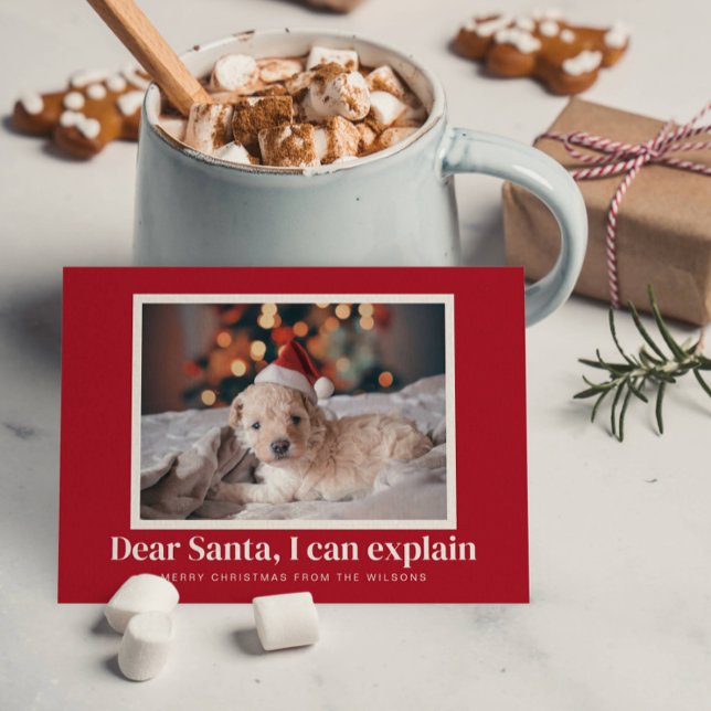 Santa, I Can Explain Funny Pet Christmas Photo Holiday Card (Creator Uploaded)