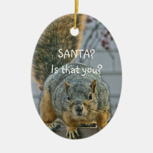 "SANTA, IS THAT YOU?"  WIDE- EYED SQUIRREL ORNAMEN CERAMIC TREE DECORATION