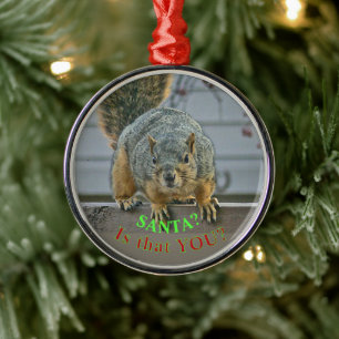 "SANTA, IS THAT YOU?" WIDE- EYED SQUIRREL ORNAMEN METAL TREE DECORATION