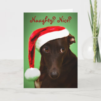 Santa Jack Holiday Card