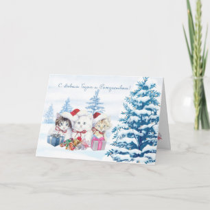 Santa kittens, pine Russian Christmas /New Year Holiday Card