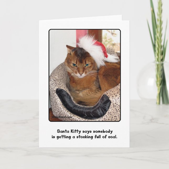 Santa Kitty Christmas Card (Front)