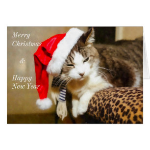 Santa Kitty Painterly