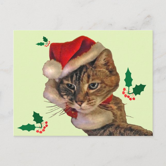 Santa Kitty with Holly Holiday Postcard (Front)