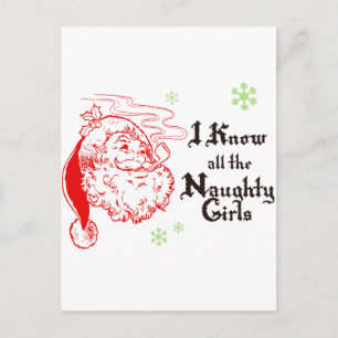 Santa knows all the naughty girls holiday postcard