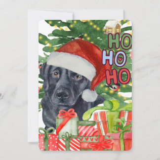 Santa Lab Christmas Card