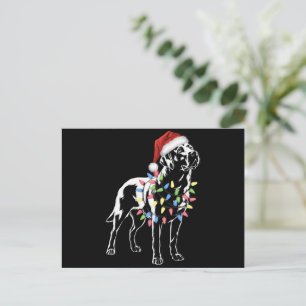 Santa Labrador Retriever Christmas Light Dog Lover Holiday Postcard