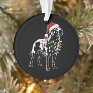 Santa Labrador Retriever Christmas Light Dog Lover Ornament