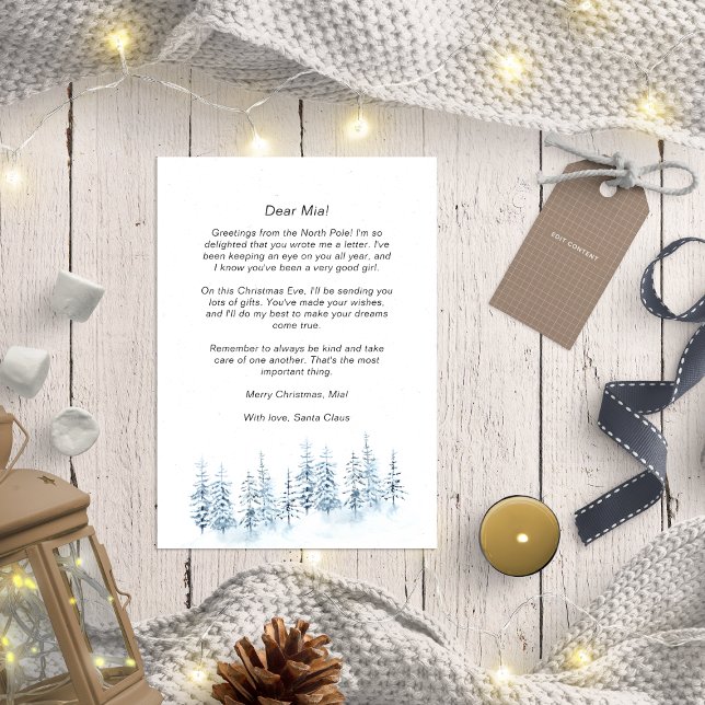 Santa Letter for Baby Blue Winter Forest Rustic Holiday Card (Creator Uploaded)