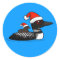 Santa Loon