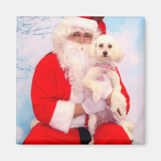 Santa Loves Dogs Magnet