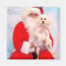 Santa Loves Dogs