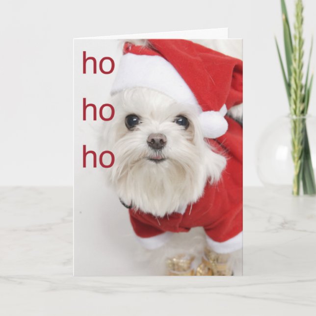 Santa Maltese Puppy Christmas Card (Front)