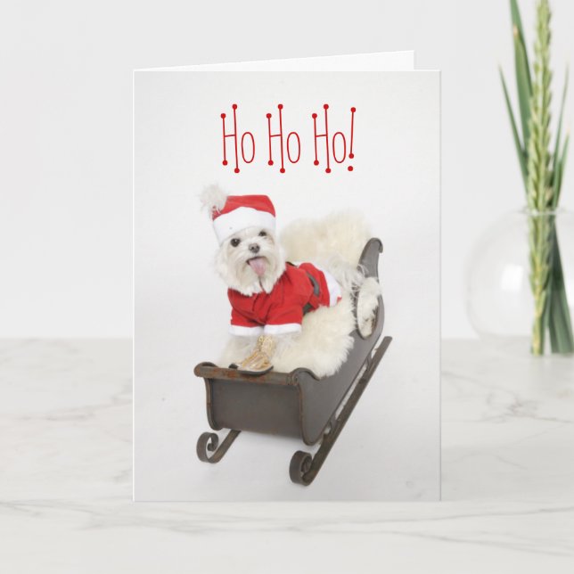 Santa Maltese Puppy On Sleigh Christmas Holiday Card (Front)