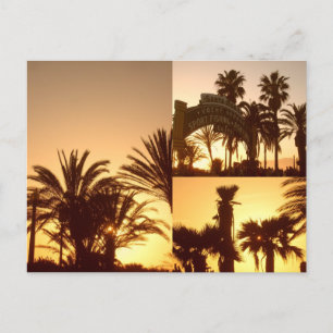 Santa Monica Sunset Collage Postcard