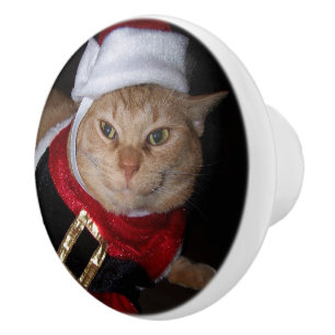 Santa Orange Tabby Cat Christmas Knob