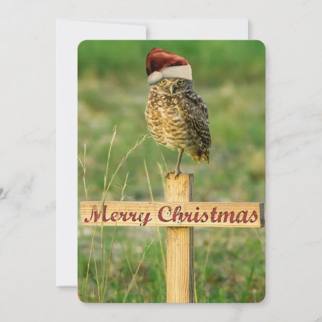 Santa Owl Christmas Card Large 5 x 7 (Front)