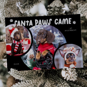 Santa Paws Black Dog Photo Holiday Card
