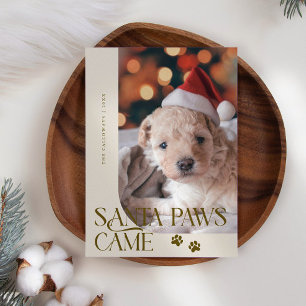 Santa Paws Came Dog Photo Beige Christmas Holiday Card