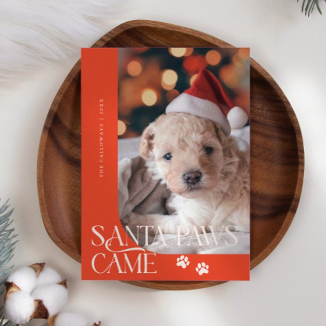 Santa Paws Came Dog Photo Red Christmas Holiday Card (Creator Uploaded)