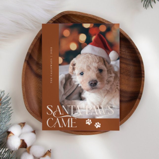 Santa Paws Came Dog Photo Terracotta Christmas Holiday Card (Creator Uploaded)