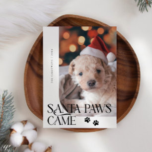 Santa Paws Came Dog Photo White Christmas Holiday Card