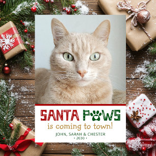 Santa Paws Cat Photo Holiday Card