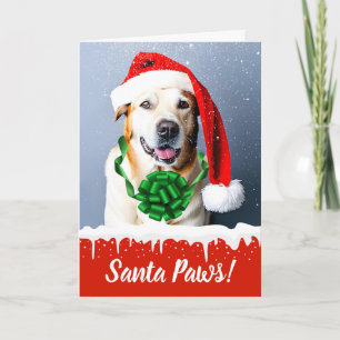 Santa Paws Christmas Dog in the Snow Holiday Card