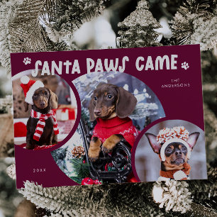 Santa Paws Cranberry Dog Photo Holiday Card