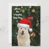 Santa Paws - Crystal the Husky Dog Christmas
