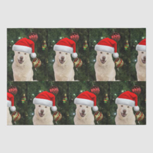 Santa Paws - Crystal the Husky Dog Christmas  Tissue Paper