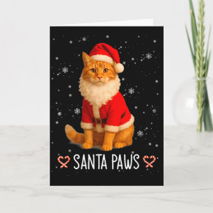 Santa Paws Funny Orange Tabby Cat Christmas Holida Card