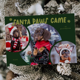 Santa Paws Green Dog Photo Holiday Card