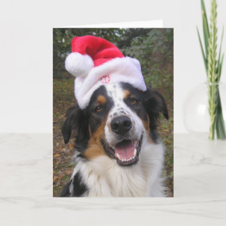 "Santa Paws" Holiday Card