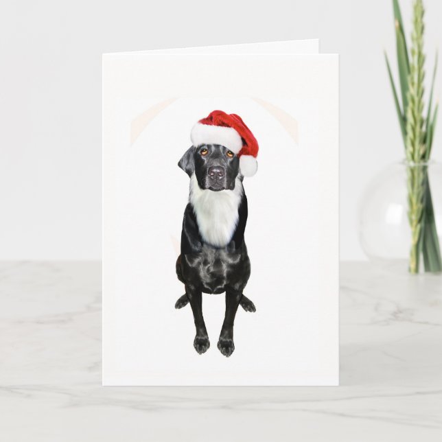 Santa Paws Holiday Card (Front)