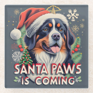Santa Paws Is Coming Bernese Dog Christmas Glass Coaster