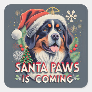 Santa Paws Is Coming Bernese  Dog Christmas Square Sticker