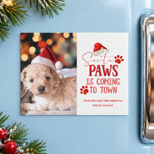 Santa Paws is Coming to Town Christmas Photograph