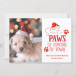 Santa Paws is Coming to Town Christmas Photograph Holiday Card<br><div class="desc">Santa Paws is Coming to Town Christmas Photograph & Typography With Fun Holiday Quote , Santa Hat, Dog or Cat Paw Prints, and trendy script text in Bright Red. A Funny & cute quote for Christmas Pet Lovers, holidays, and the winter season. Fun for the whole family! Just add your...</div>