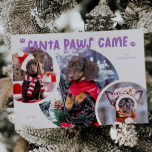 Santa Paws Lilac Dog Photo Holiday Card