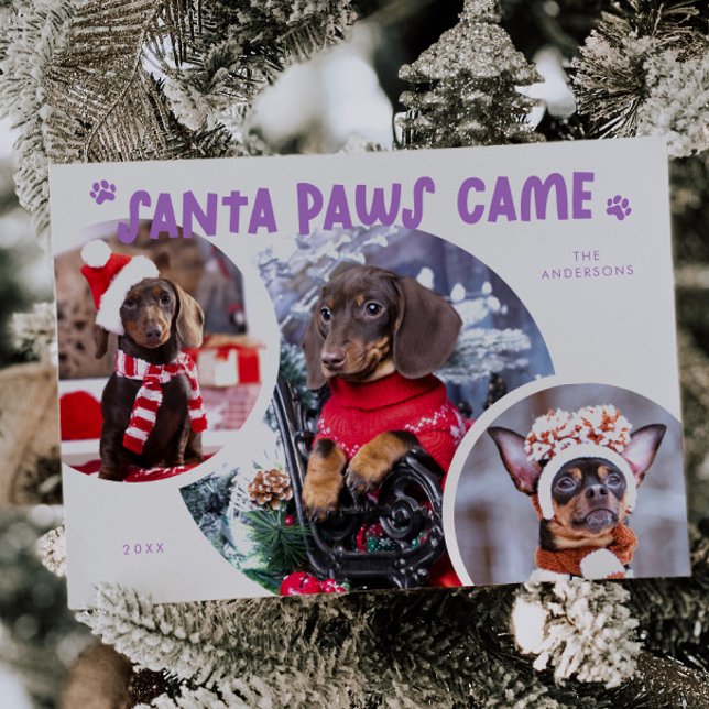 Santa Paws Lilac Dog Photo Holiday Card (Creator Uploaded)