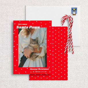 Santa Paws Meowy Christmas Holiday Cat Photo Card