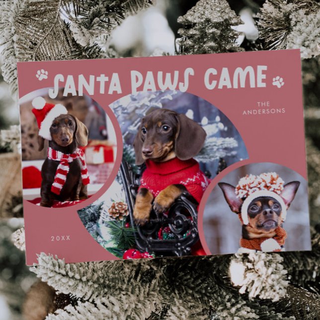 Santa Paws Pink Dog Photo Holiday Card (Creator Uploaded)