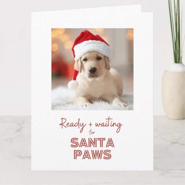 Santa Paws ready and waiting - Dog lover Christmas Card (Front)