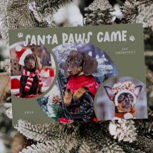 Santa Paws Sage Green Dog Photo Holiday Card