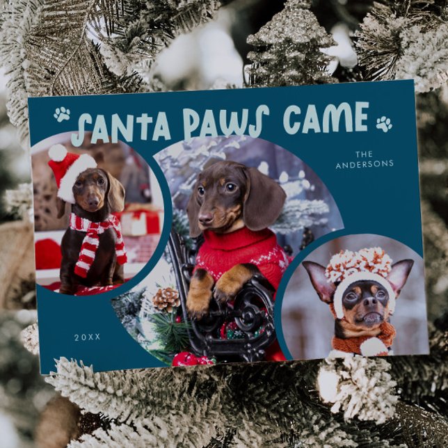 Santa Paws Teal Dog Photo Holiday Card (Creator Uploaded)