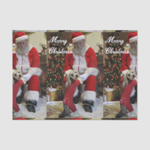 Santa Paws Tissue Paper