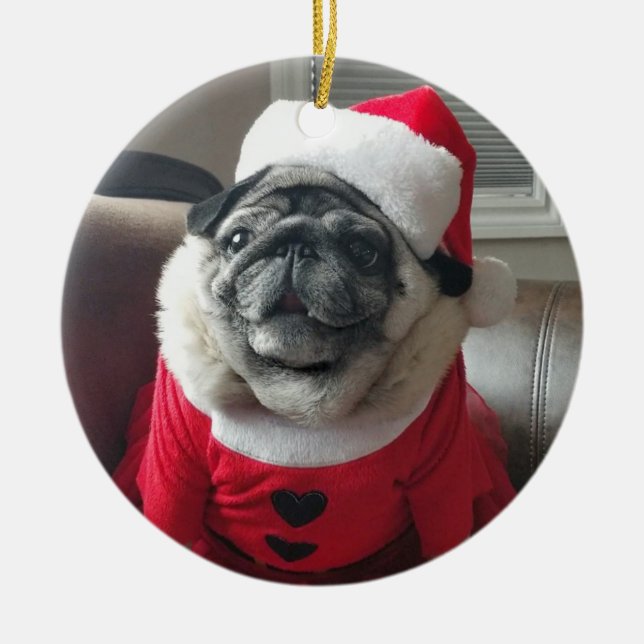 Santa Pickles Ornament (Front)