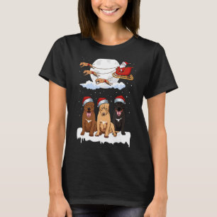 Santa Pitbull Reindeer Sleigh Christmas Pajama Dog T-Shirt
