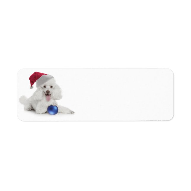 Santa Poodle Return Address/Gift Labels (Front)